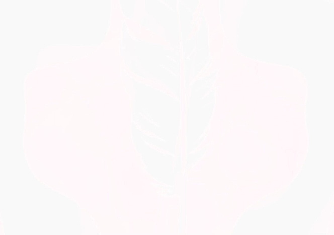 FriendsTK1